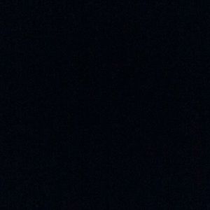 Meet your Posher, Terry